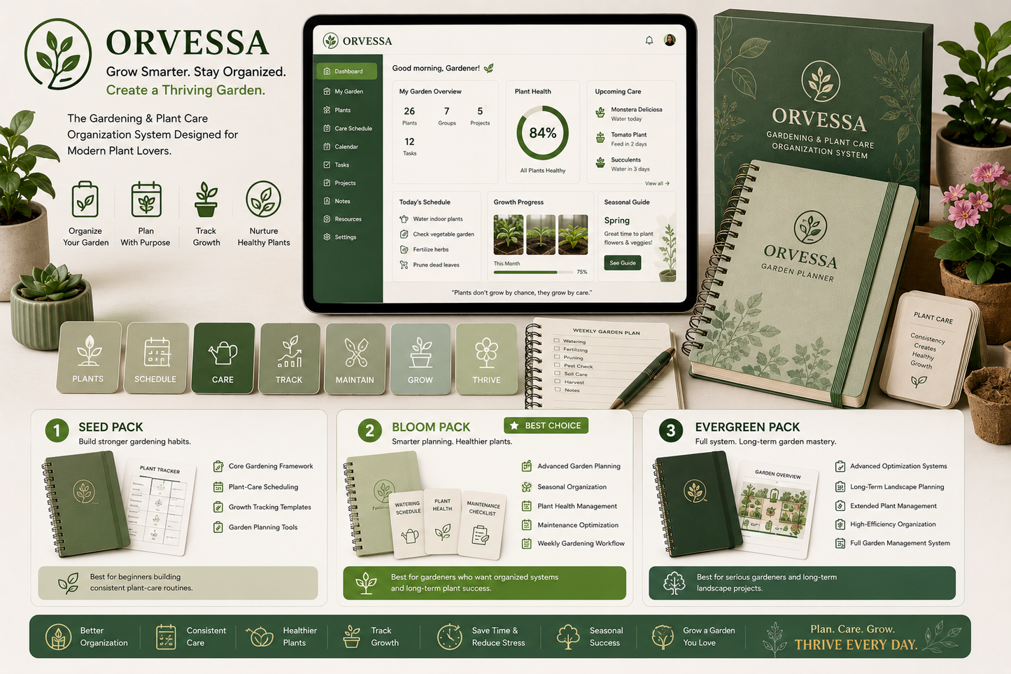 Orvessa